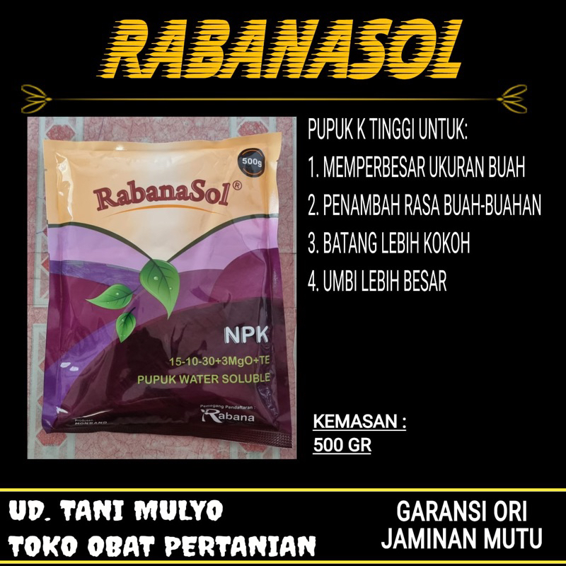 RABANASOL K TINGGI 500 GR