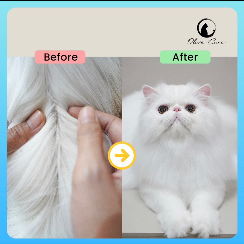 Olive Care Shampo Kucing Oil Free DEGREASER untuk Anti Rontok, Bulu Berminyak, Kotor dan Kembangin Bulu