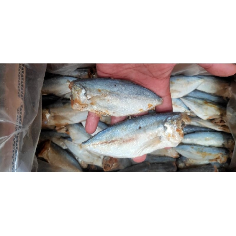 

asin peda buntung / asin peda tanpa kepala 100g