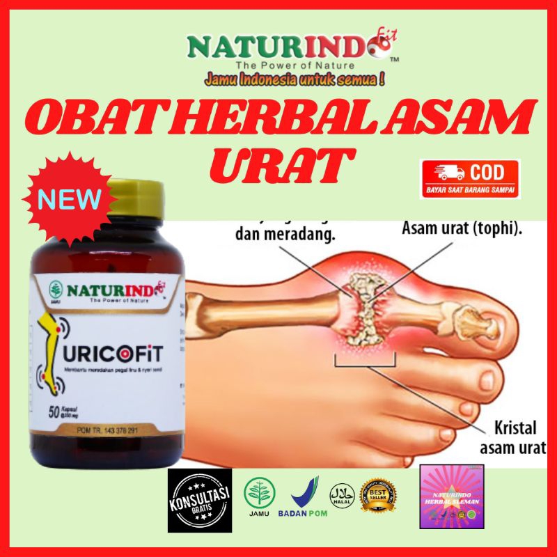 Obat herbal asam urat pegal linu obat nyeri sendi obat kaki bengkak asam urat dan rematik bengkak se