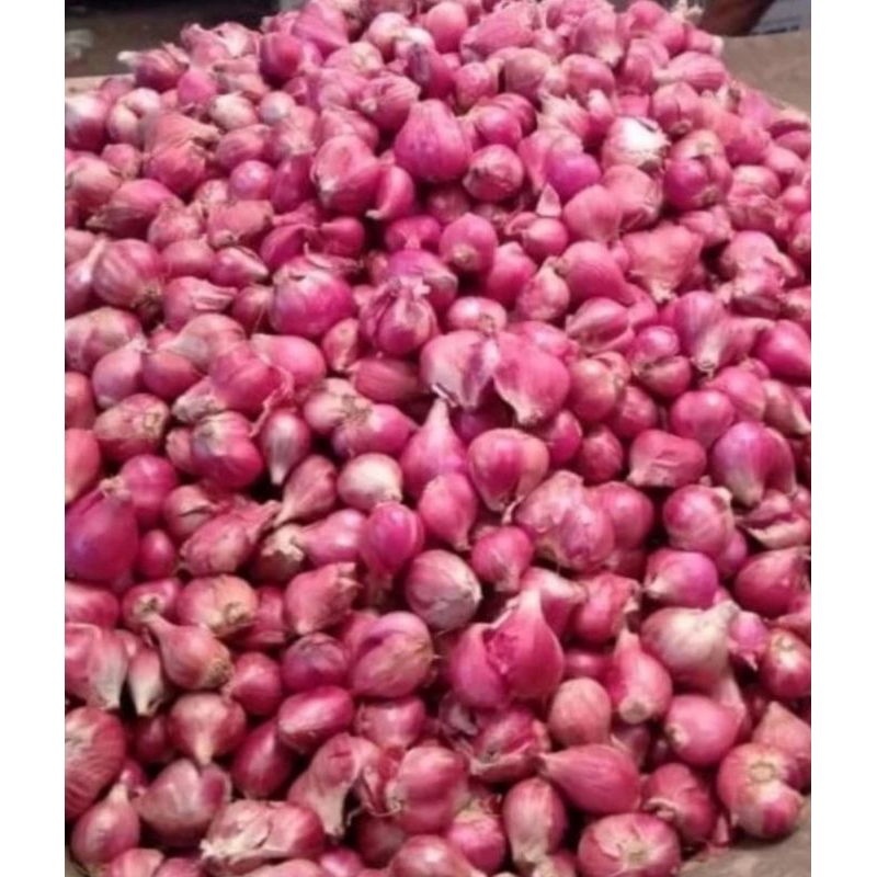 

Bawang merah Brebes 500gr