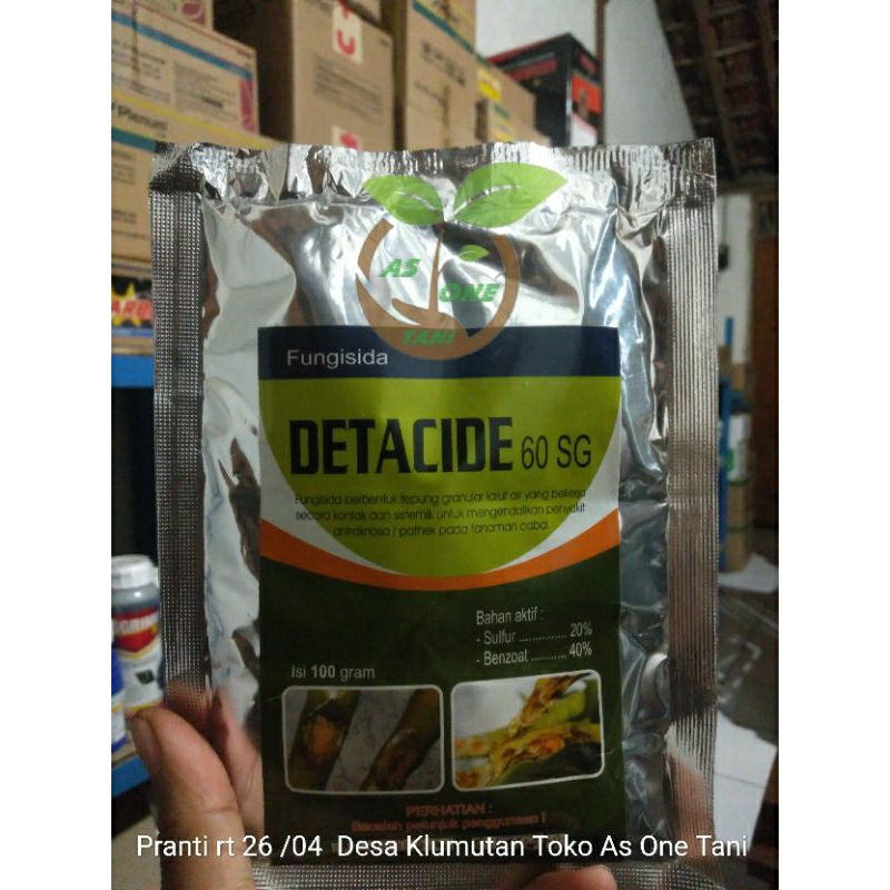 Fungisida Detacide 60 SG Untuk Pathek Pada Tanaman Cabe