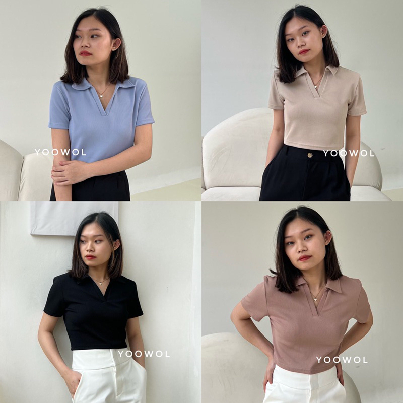 Shea Top/ Basic Knit Crop Top