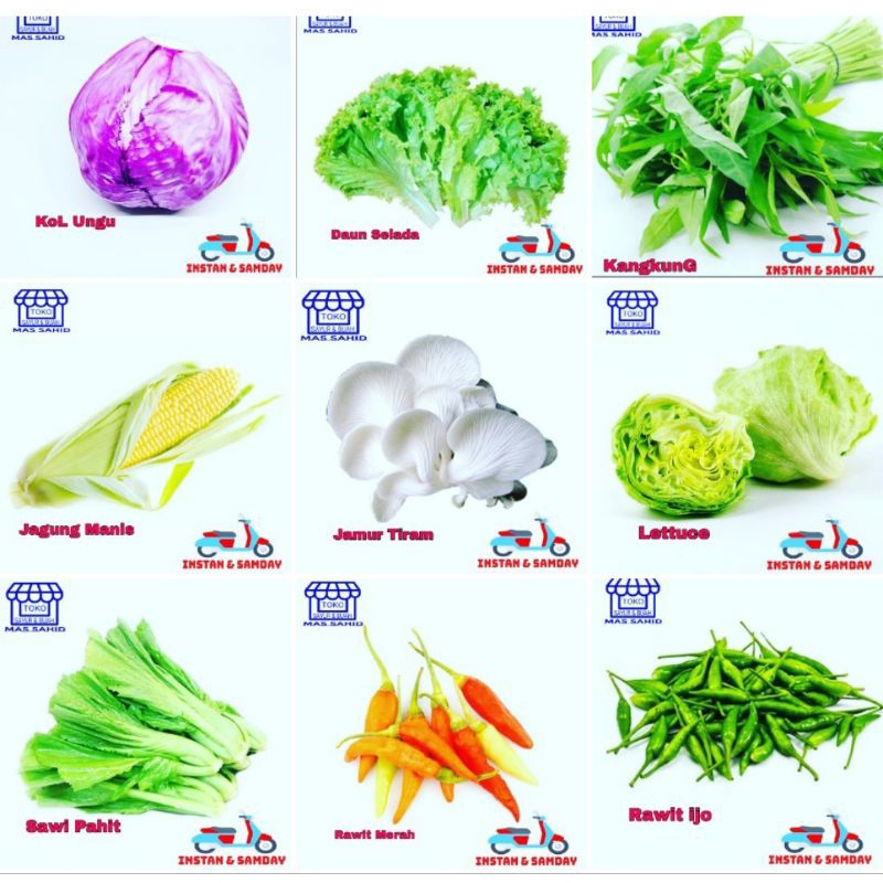 

SAYUR MAYUR CUSTOM