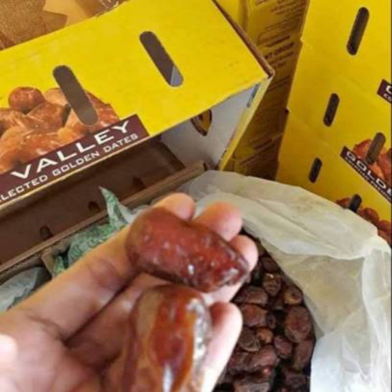 

kurma golden ori