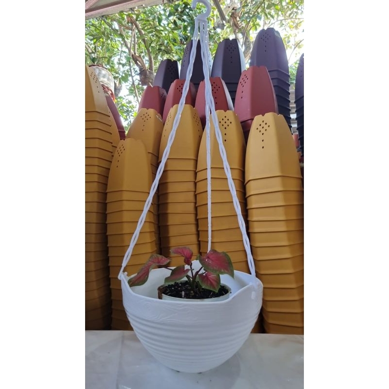 pot gantung /pot gantung kayu /pot gantung L