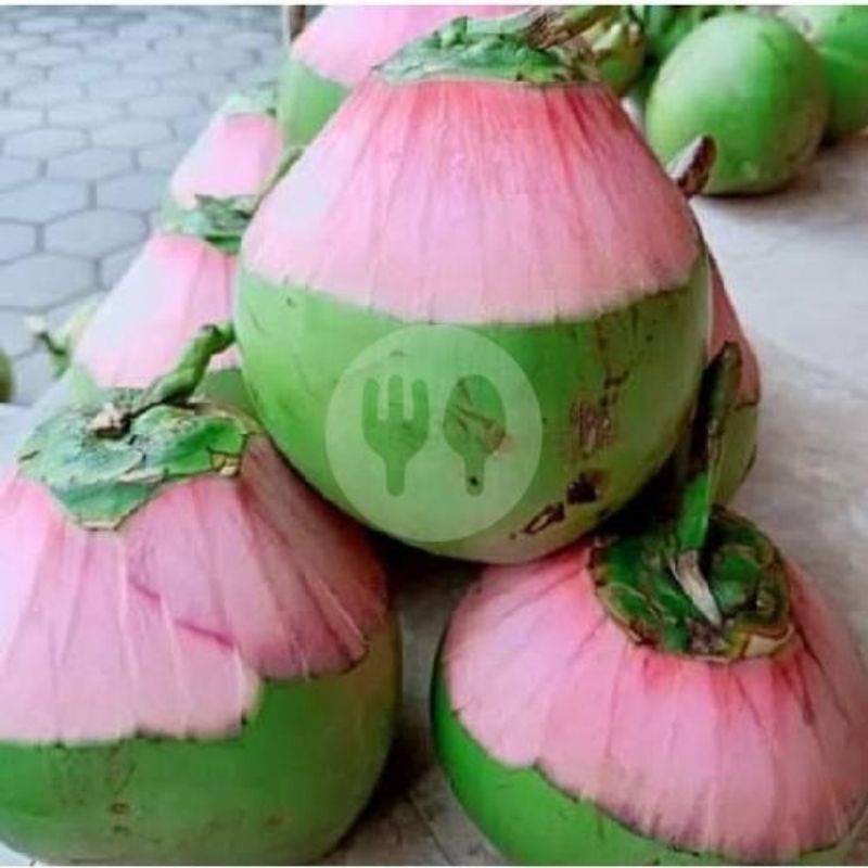 

degan ijo asli/degan obat