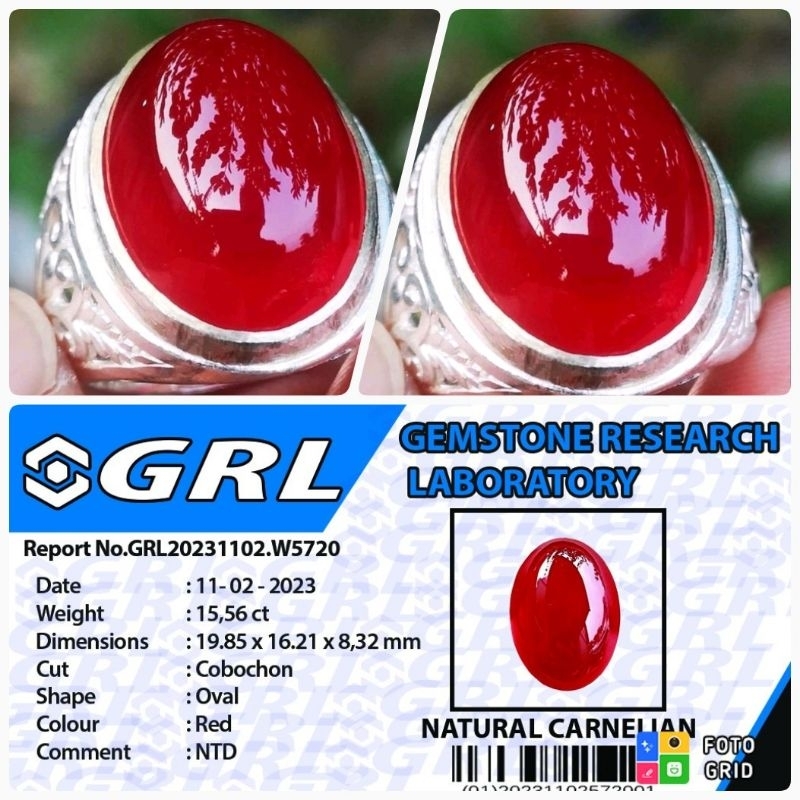 (COD) NATURAL RED BARON PACITAN HIGH QUALITY + MEMO