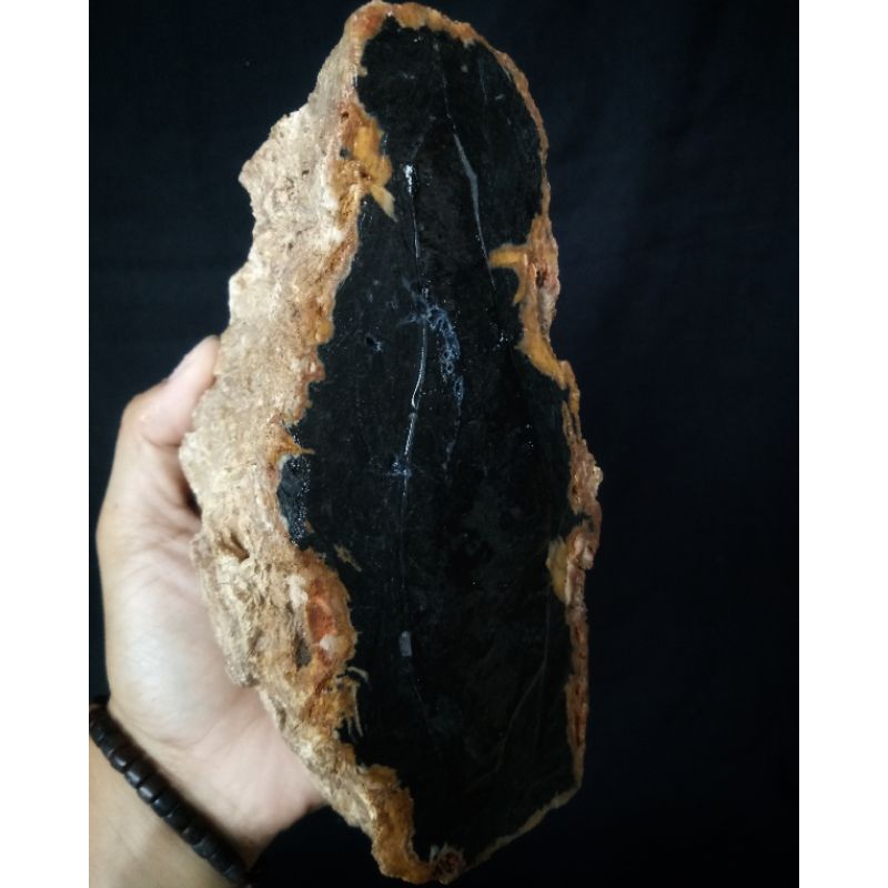 Rough Bahan Fosil Galih Kelor Serat Emas