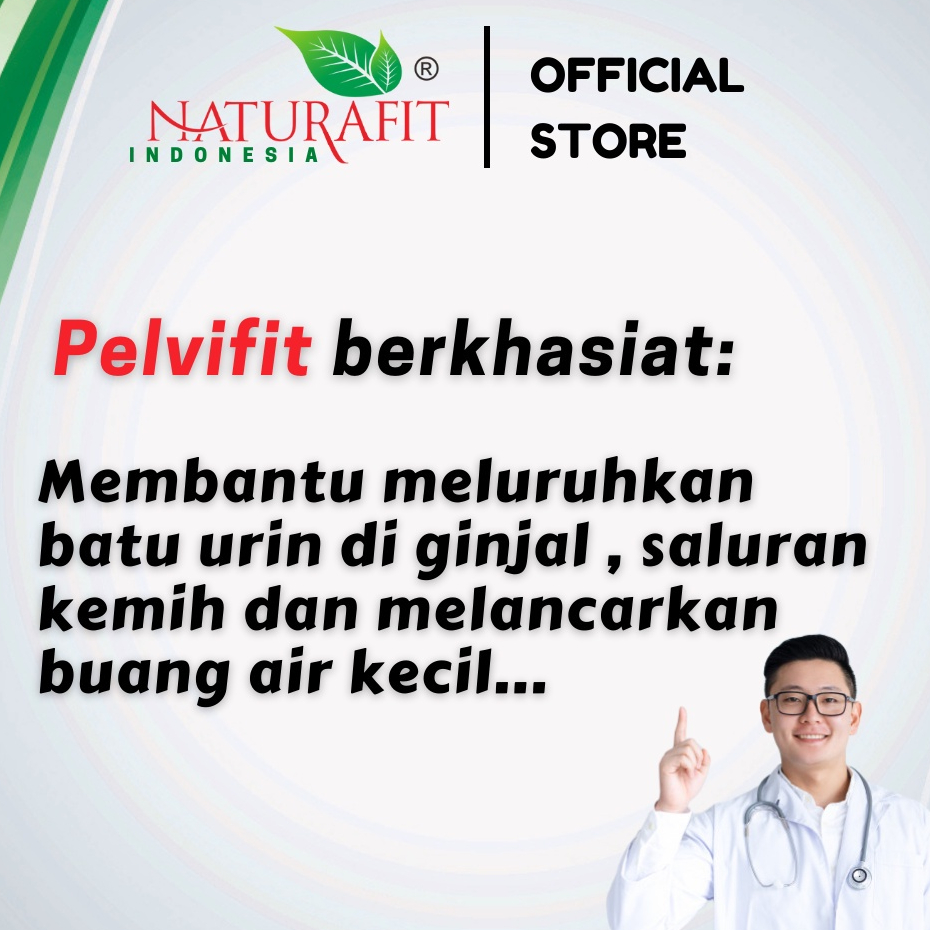 PELVIFIT Obat Herbal Batu Ginjal Batu Empedu Peluruh Batu Ginjal Melancarkan BAK - Naturafit BPOM