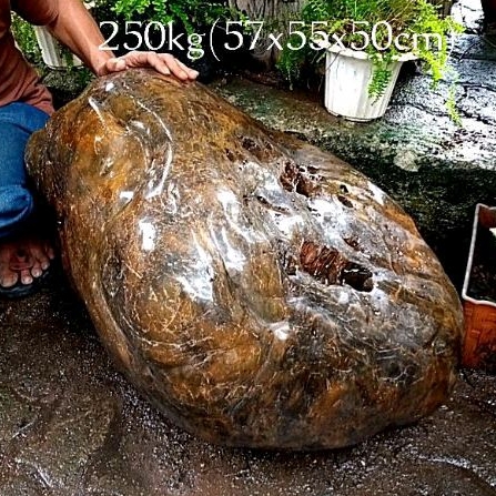 batu hias fosil galih/badar asem kristal(96)