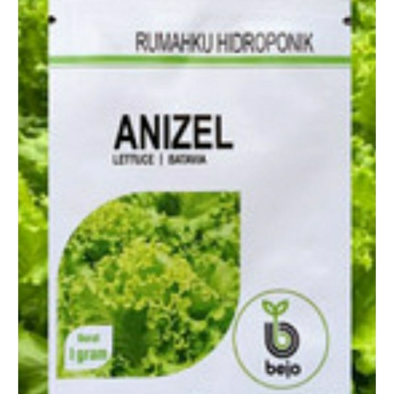 Benih Selada Batavia Anizel Bejo Seed 5 gr