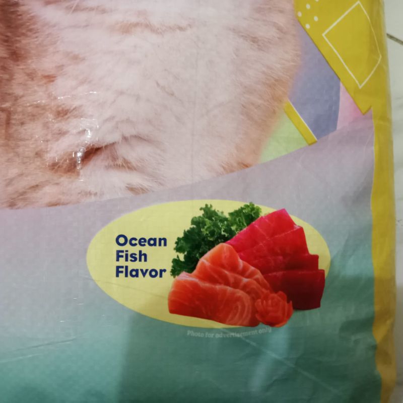 Makanan Kucing Cleo Kitten Ocean Fish 7kg | makanan kucing anakan cleo