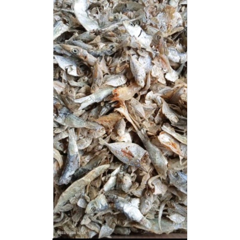 

Ikan Sampah Medan / Ikan Campur Medan Asli Segar