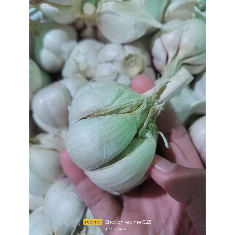 

Bawang Putih Kating 250gram