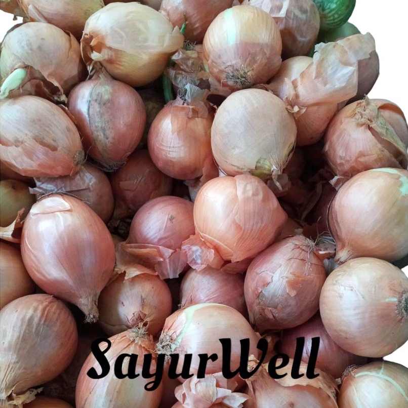 

Bawang Bombay Bawang Besar 250Gr , 500Gr , 1Kg