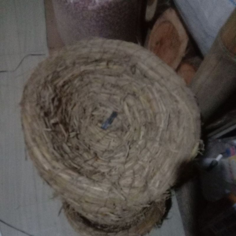 sarang jerami ayam