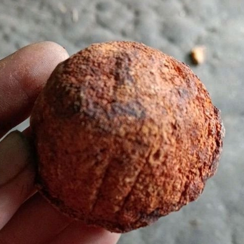 Getah Gambir Herbal Organik Termurah Grosir