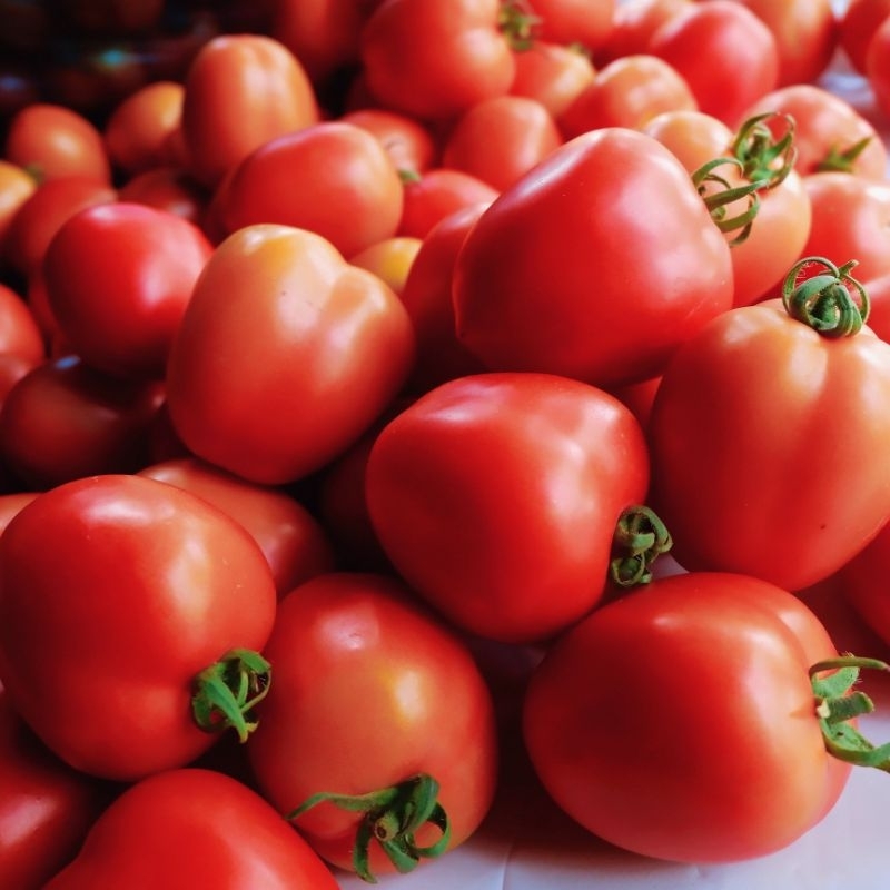 

Tomat Segar 1kg