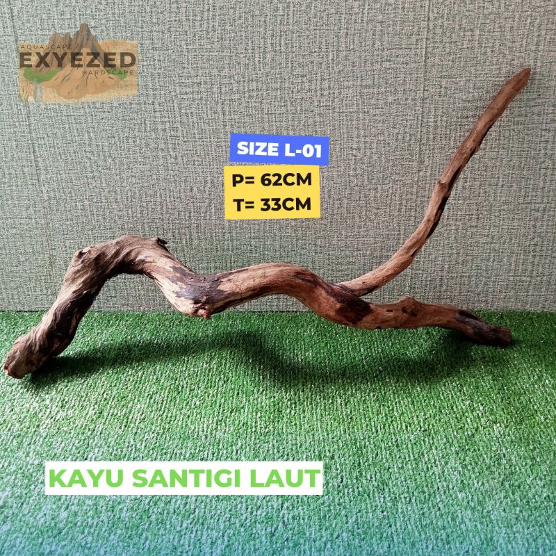 Kayu Santigi Laut Karang / Kayu Sentigi Aquarium Aquascape Size L