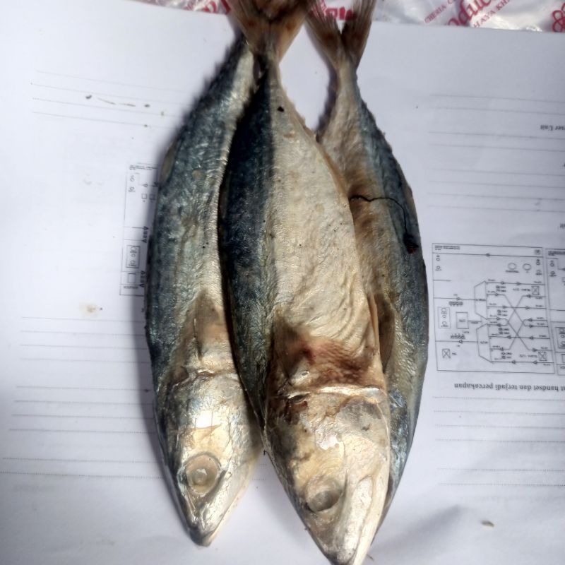 

Ikan Asin Peda