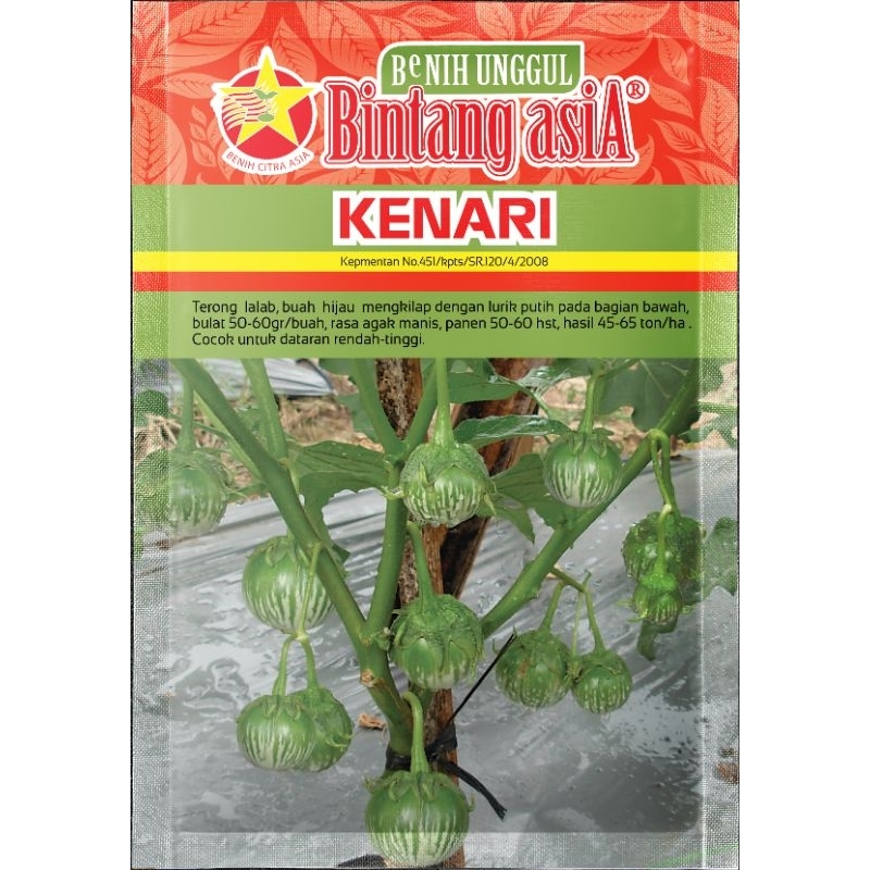Benih bibit terong lalap KENARI 10Gr
