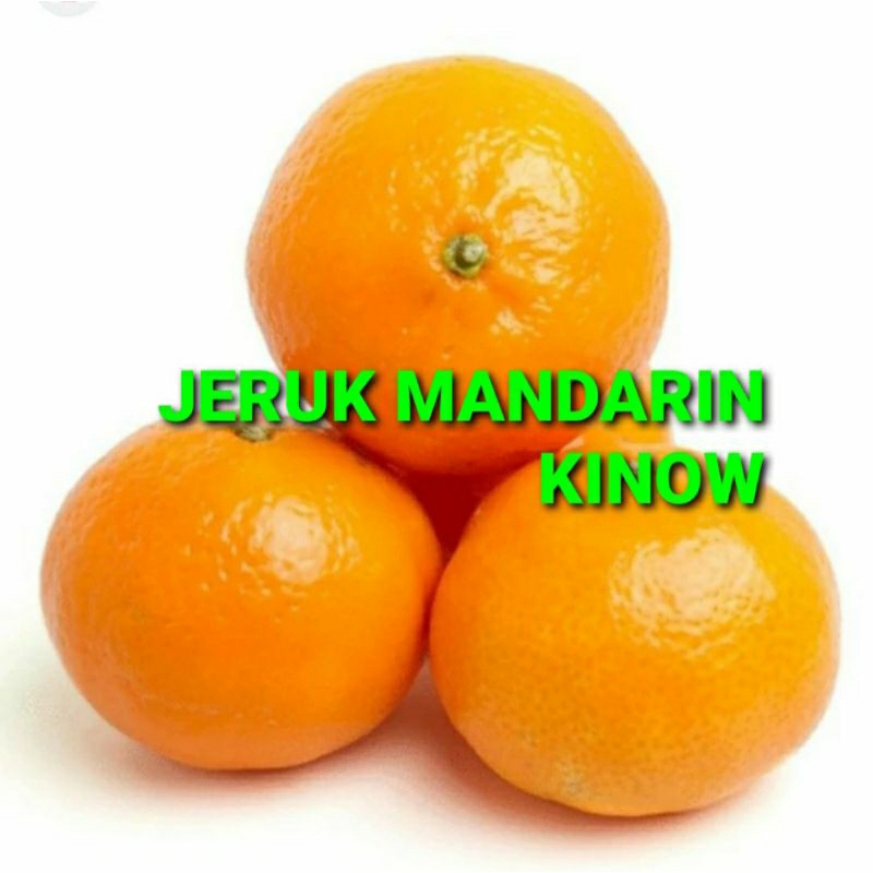 

JERUK MANDARIN KINOW KHUSUS PARA SULTAN 1 KG (PREMIUM QUALITY)