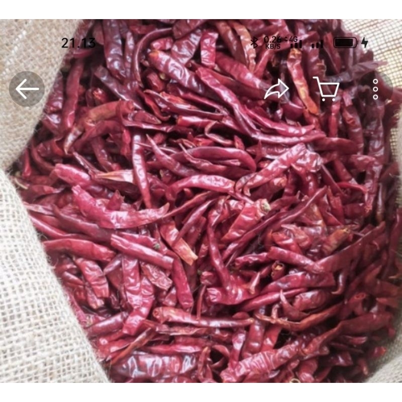 

Cabai rawit Asli Teja kering super pedas