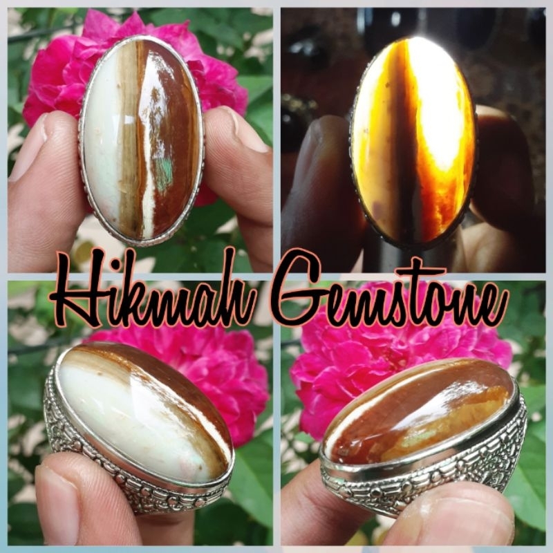 Batu Fosil Kayu Kristal Sulaiman