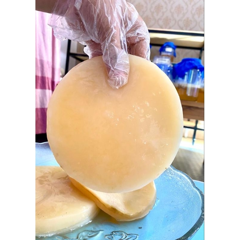 

Bibit Kombucha / Jamur Scooby Kombucha premium ( Kualitas Super ) Tebal 3cm -/+ ( Raw starter 250Ml )