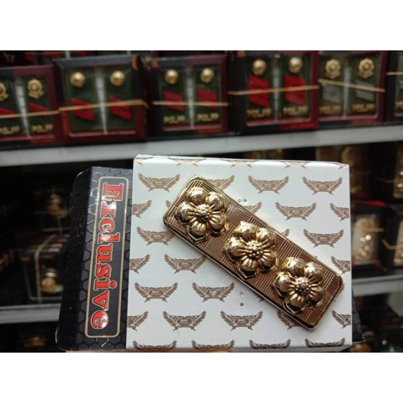 PIN KERAH UNTUK PNS ASN GOL  4B