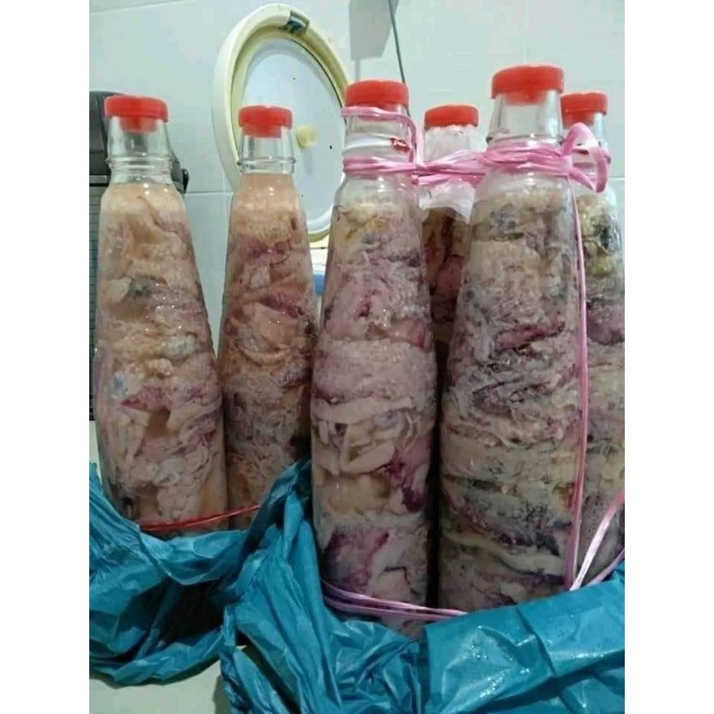 

caloksotong(sotongkoiii)