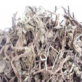 

MURAH DAUN JOMBANG KERING HERBAL 250 GRAM