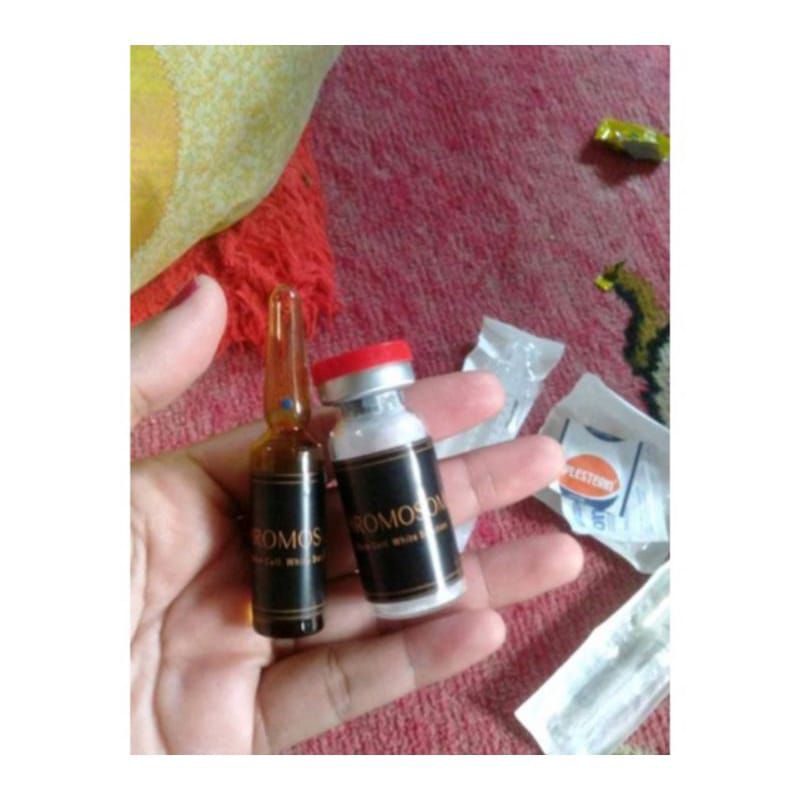 NEW EXP 2025 CHROMOSOME WHITE STEMCELL