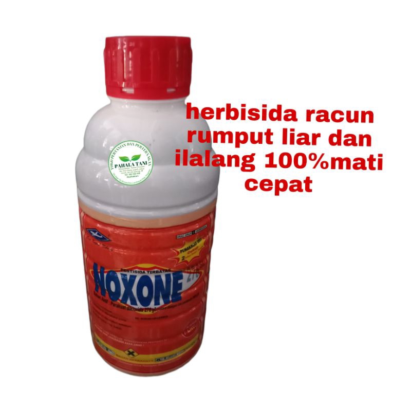 NOXONE 276SL/racun rumput liar/obat rumput ilalang/racun rumput mati cepat/hama rumput liar