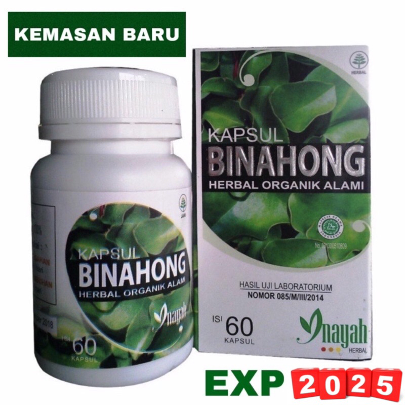 Kapsul Daun Binahong mengobati asam urat mempercepat penyembuhan luka luar ataupun luka dalam