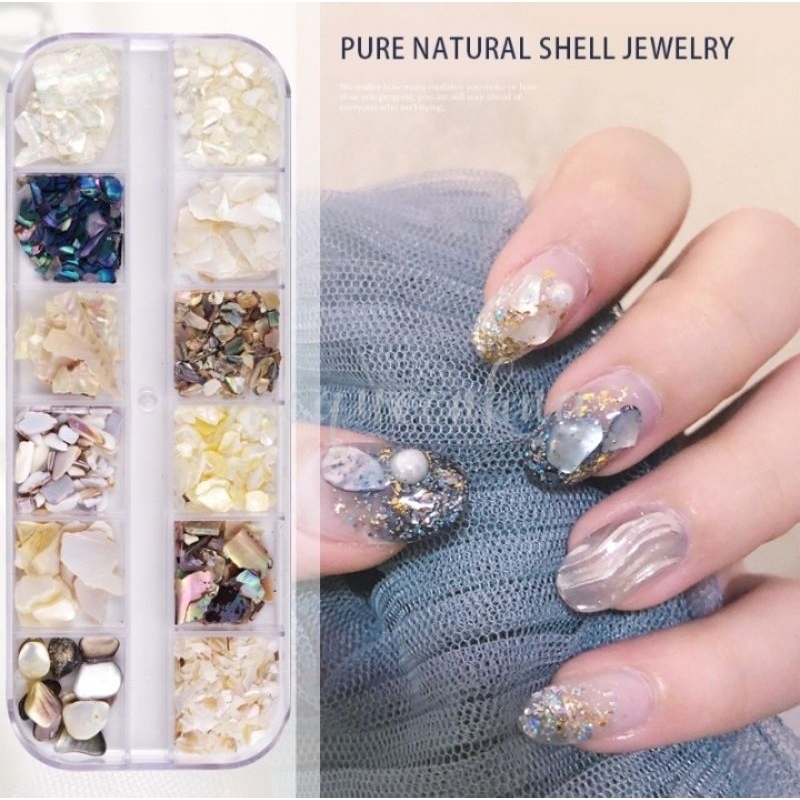 12 Grids Natural Shell Nail Art Ornament Manik Kerang Mutek Kuku
