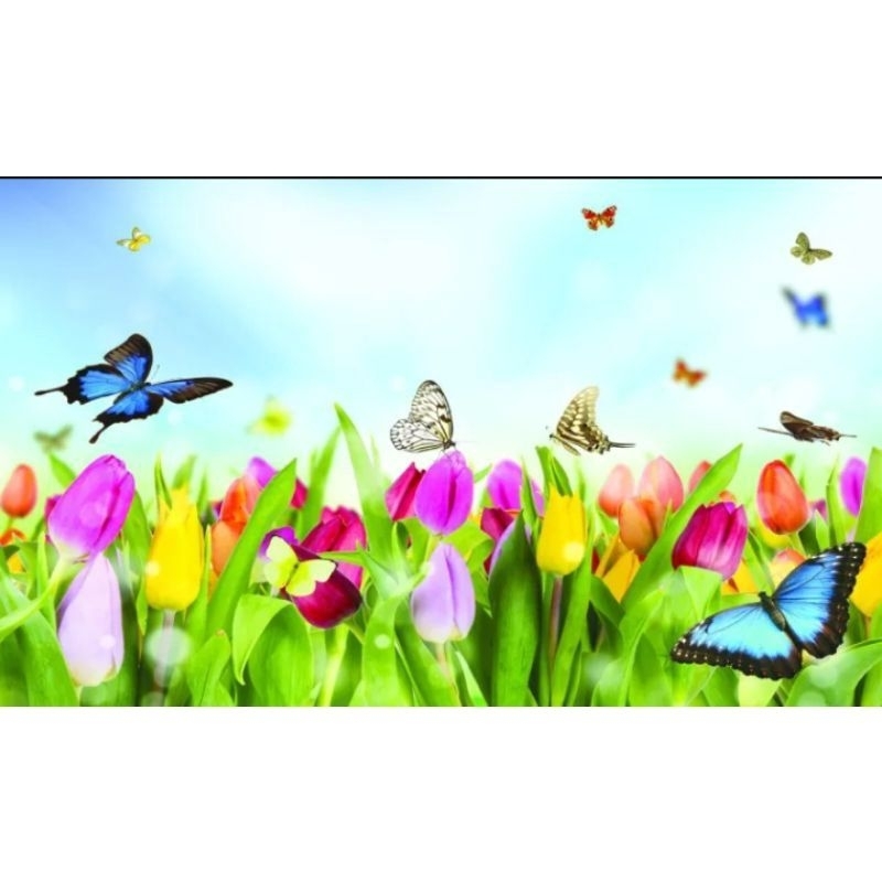 WALLPAPER DAPUR WALLSTIKER DAPUR ANTI AIR ANTI MINYAK ANTI PANAS UK 45 X 75CM