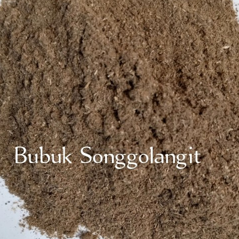 

MURAH BUBUK SONGGO LANGIT DARAT HERBAL 500 GRAM