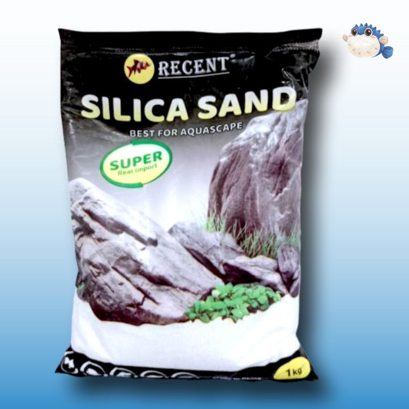 PROMO PASIR SILICA PASIR AQUASCAPE AQUARIUM RECENT 1Kg