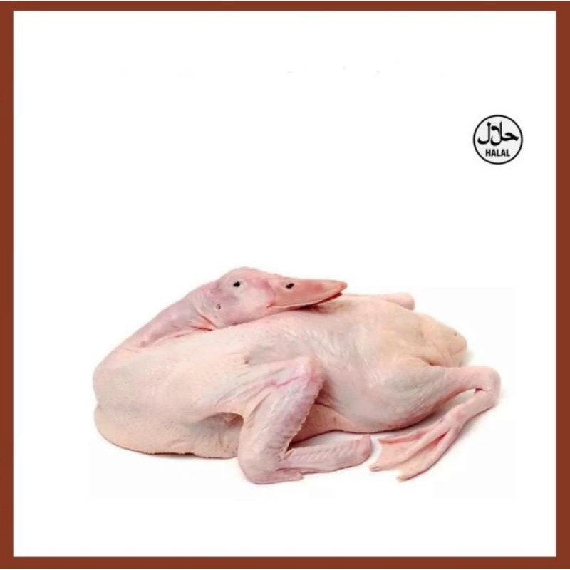 

Bebek Utuh Fresh
