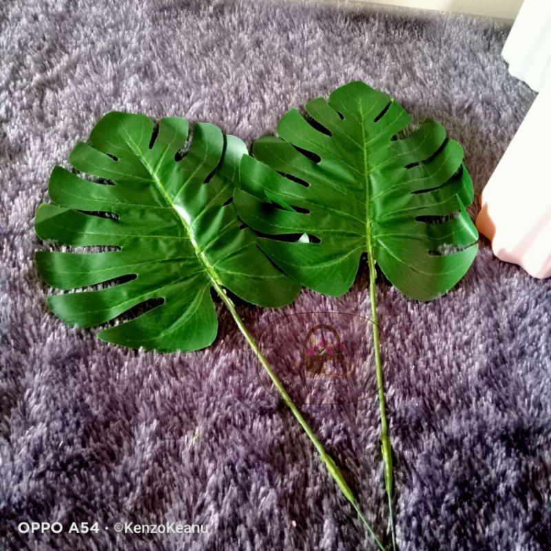 COD/bunga plastik ekor tupai/shabby/daun monstera plastik/tanaman imitasi/daun keladi impor/dekorasi