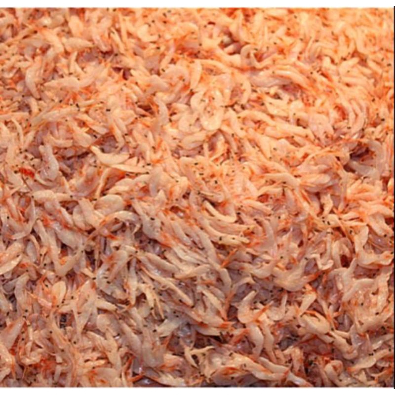 

Udang Rebon Segar