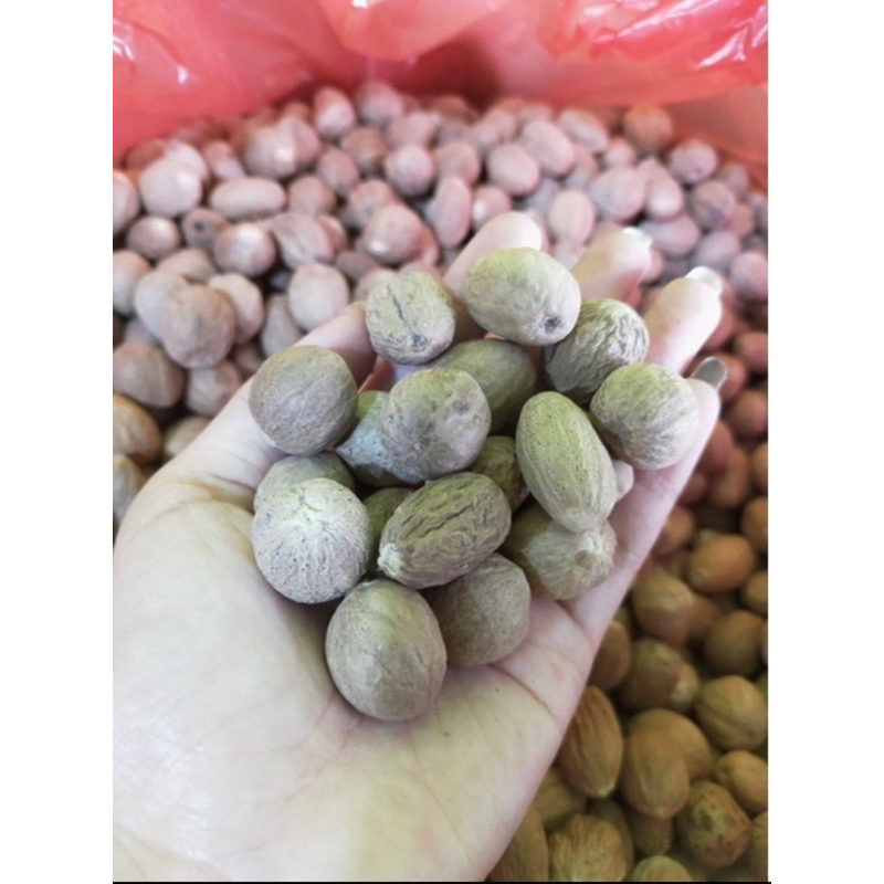 biji pala 500g 1/2kg gram / nutmeg whole Dijamin Fresh