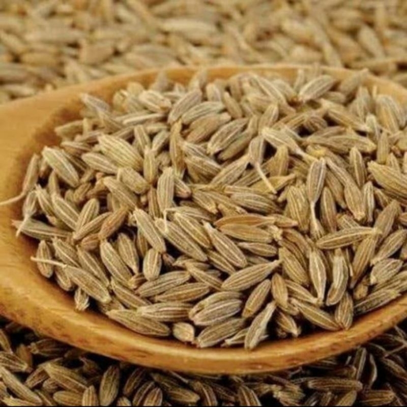 

bumbu dapur jinten