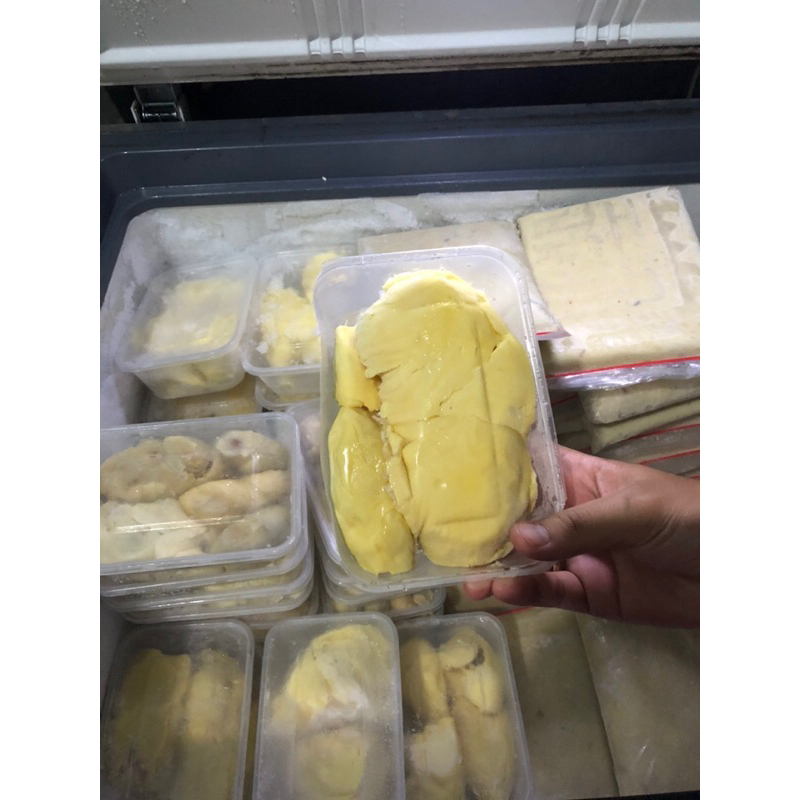 

DURIAN MONTONG PALU