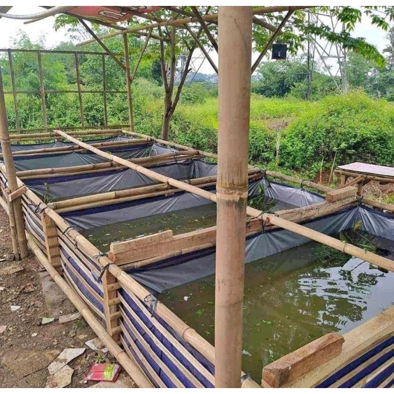 Baru Kolam Terpal Ikan Terpal Kolam Tipe A5 A8 A12 A15 Terpal Kotak Terpal Kolam Ikan Lele