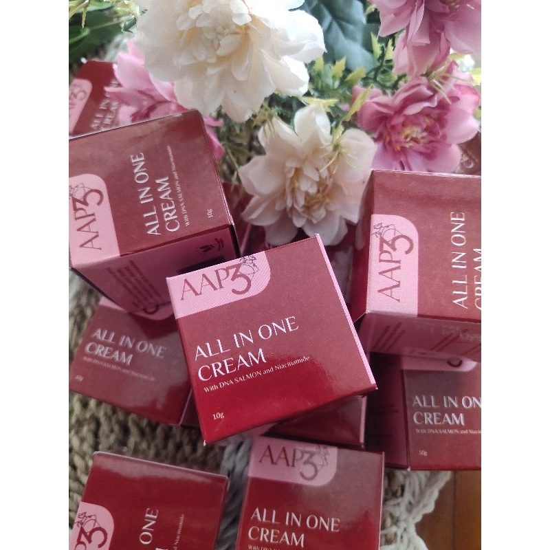 AAP3 ~ All In One Cream BPOM