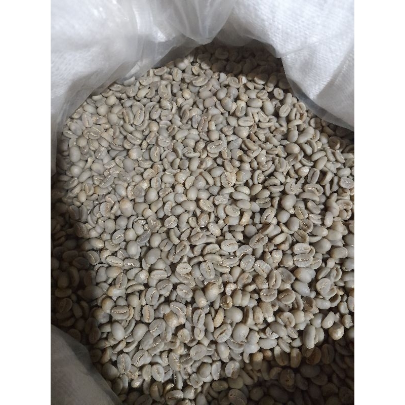 

arabika kopi gayo -- 100% asli