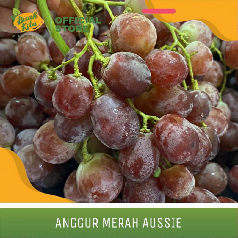 

ANGGUR MERAH AUSSIE IMPORT
